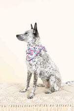 Giselle Dog Bandana | Pink Papyrus