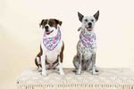 Giselle Dog Bandana | Pink Papyrus