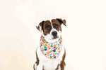 Amelia Dog Bandana | Pink Papyrus
