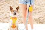 Kenna Dog Harness | Pink Papyrus