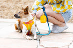 Kenna Dog Harness | Pink Papyrus