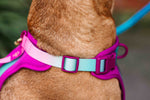 Joana Dog Harness | Pink Papyrus