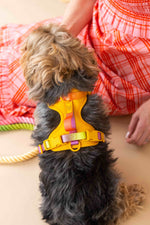 Kenna Dog Harness | Pink Papyrus