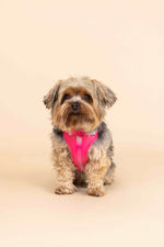 Stasia Dog Harness | Pink Papyrus