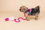 Stasia Dog Harness | Pink Papyrus