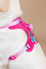 Stasia Dog Harness | Pink Papyrus