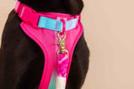 Stasia Dog Harness | Pink Papyrus