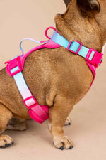 Stasia Dog Harness | Pink Papyrus