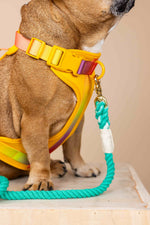 Kenna Dog Harness | Pink Papyrus