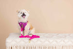 Joana Dog Harness | Pink Papyrus