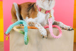 Candy Cloud Dog Collar Bundle | Pink Papyrus