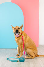 Micah Rope Dog Leash | Pink Papyrus