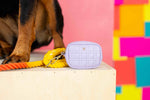 Ava Waste Bag Holder & Treat Pouch | Pink Papyrus