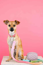 Willow Waste Bag Holder & Treat Pouch | Pink Papyrus