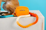 Orange Crush Dog Collar Bundle | Pink Papyrus