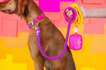 Roxy Rope Dog Leash | Pink Papyrus