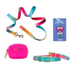 Prism Dreams Dog Collar Bundle | Pink Papyrus
