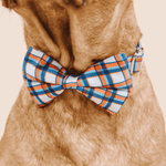 Ringo Bow Tie Dog Collar | Pink Papyrus