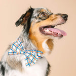 Ringo Babe Bow Dog Collar | Pink Papyrus