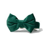 Rue Bow Tie Dog Collar | Pink Papyrus
