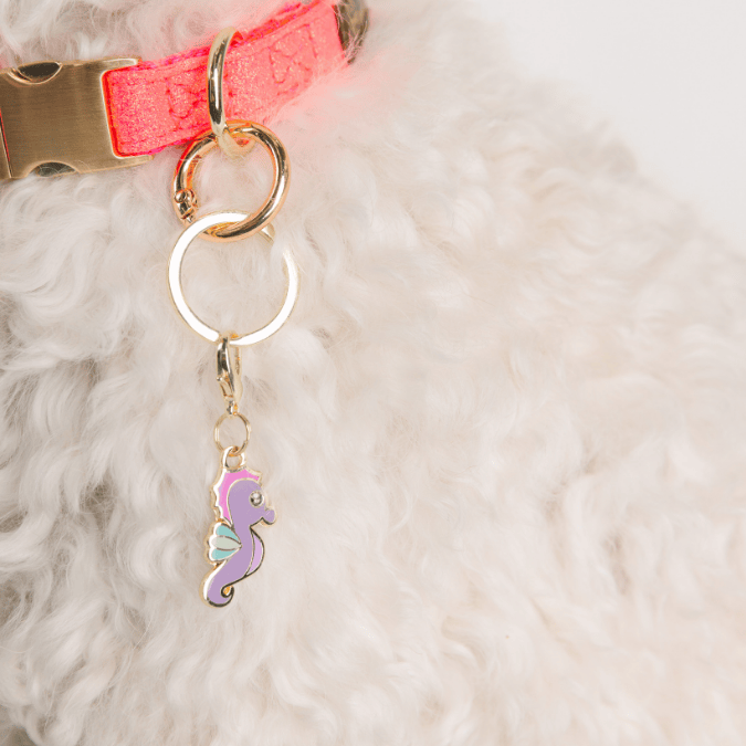 Seahorse 1 | pinkpapyrus.myshopify.com