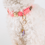 Seahorse Summer Drink Combo 1 | pinkpapyrus.myshopify.com
