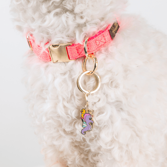 Seahorse Summer Drink Combo 1 | pinkpapyrus.myshopify.com