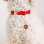 Strawberry Pet Charm | Pink Papyrus