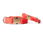Suki Dog Collar | Pink Papyrus
