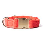 Suki Dog Collar | Pink Papyrus