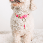 Sunglasses Pet Charm | Pink Papyrus