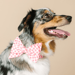 Sutton Babe Bow Dog Collar | Pink Papyrus