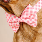 Sutton Bow Tie Dog Collar | Pink Papyrus