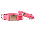 Valentina Dog Collar | Pink Papyrus