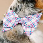 Whitley Babe Bow Dog Collar | Pink Papyrus