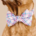 Whitley Bow Tie Dog Collar | Pink Papyrus