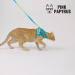 Atlas Cat Harness & Leash Set