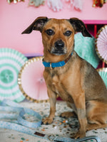 Mona Dog Leash | Pink Papyrus