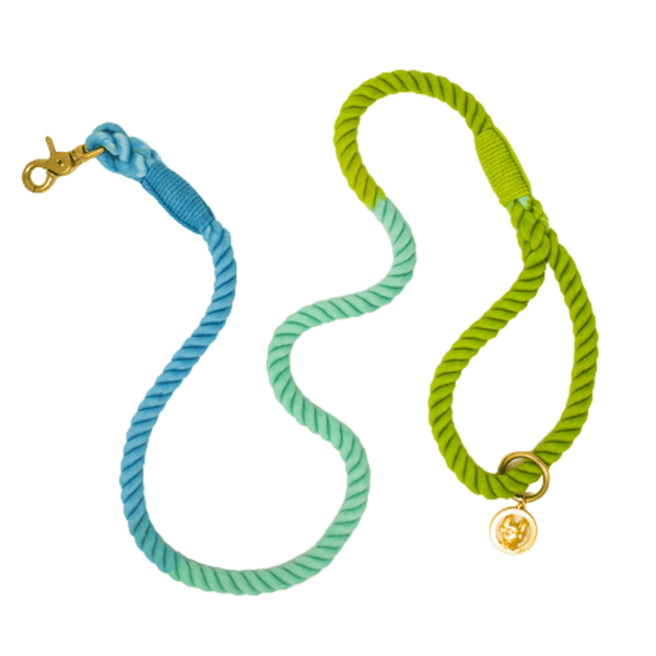 Alexandria Rope Dog Leash | Pink Papyrus