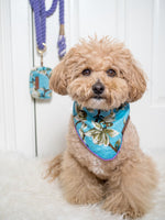 Lexie Dog Bandana | Pink Papyrus