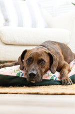 Astrid Dog Bed | Pink Papyrus