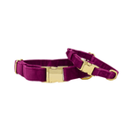 August Dog Collar | Pink Papyrus