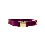 August Dog Collar | Pink Papyrus