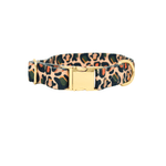 Beckett Dog Collar | Pink Papyrus
