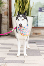Yesenia Dog Bandana | Pink Papyrus