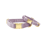 Billie Dog Collar | Pink Papyrus