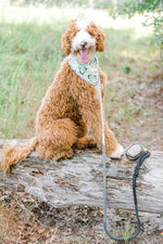 Cosette Dog Bandana | Pink Papyrus