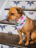 Delilah Dog Bandana | Pink Papyrus
