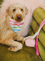 Delilah Dog Bandana | Pink Papyrus