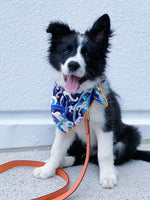 Destin Dog Bandana | Pink Papyrus